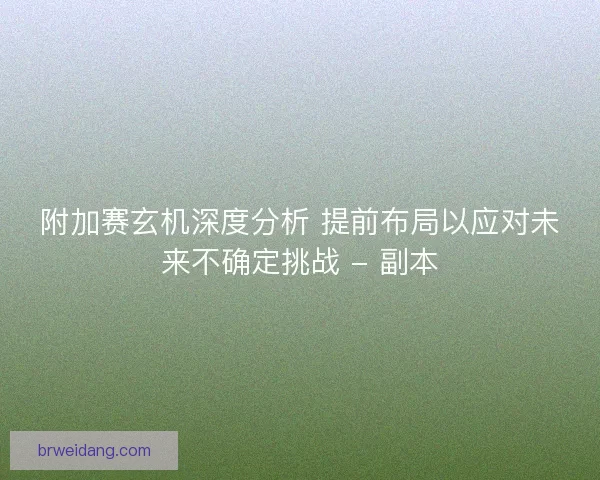 附加赛玄机深度分析 提前布局以应对未来不确定挑战 - 副本