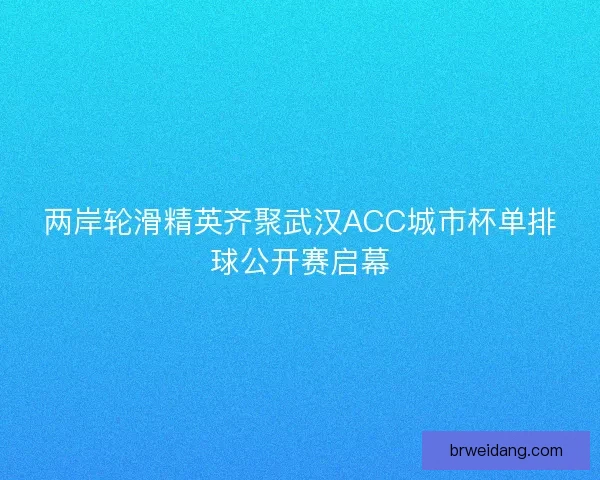 两岸轮滑精英齐聚武汉ACC城市杯单排球公开赛启幕 两岸轮滑精英齐聚武汉ACC城市杯单排球公开赛启幕