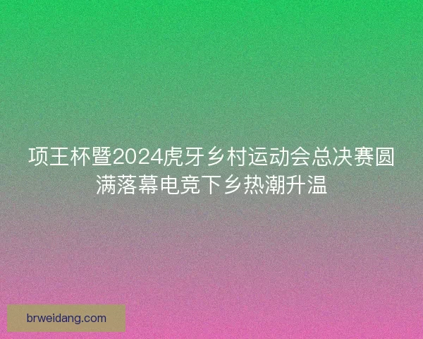项王杯暨2024虎牙乡村运动会总决赛圆满落幕电竞下乡热潮升温 项王杯暨2024虎牙乡村运动会总决赛圆满落幕电竞下乡热潮升温