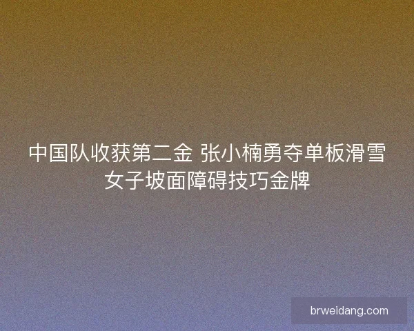 中国队收获第二金 张小楠勇夺单板滑雪女子坡面障碍技巧金牌 中国队收获第二金 张小楠勇夺单板滑雪女子坡面障碍技巧金牌